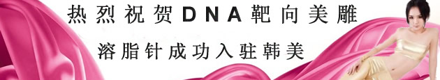 ����ף��DNA����������֬�룩�ɹ���פ����